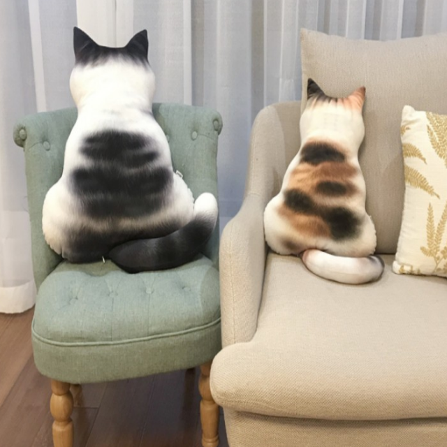 Lismali Home and Decor Cute Cat Throw Pillow