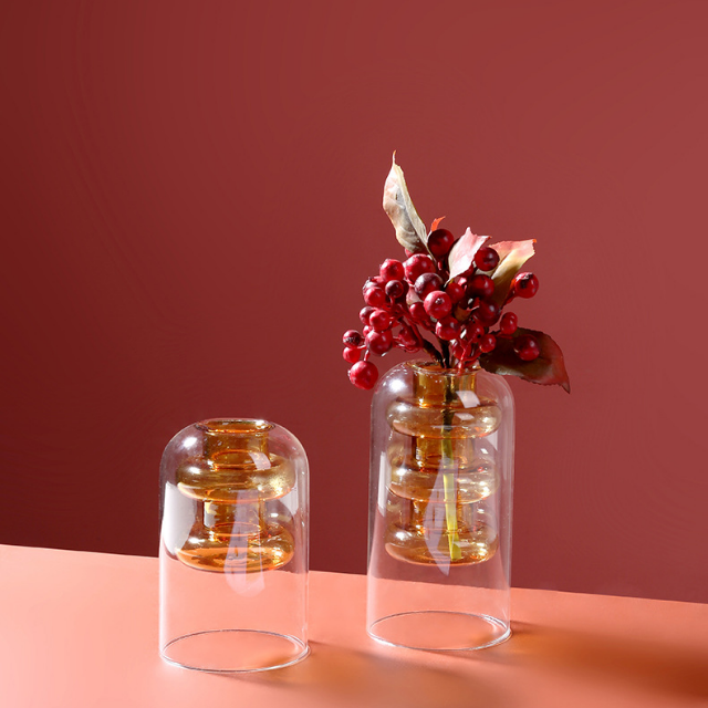Lismali Home and Decor Double Layer Glass Vase