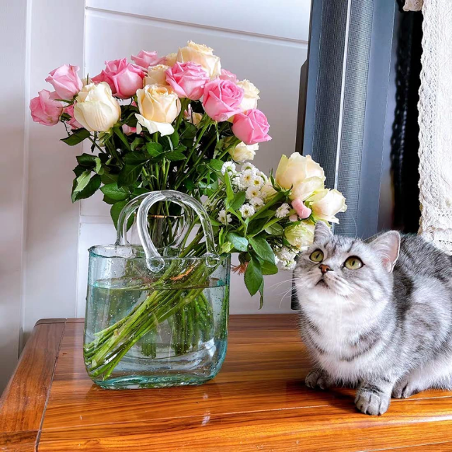 Lismali Home and Decor Handbag Glass Vase - Hydroponic Transparent Flowerpot Home Decoration
