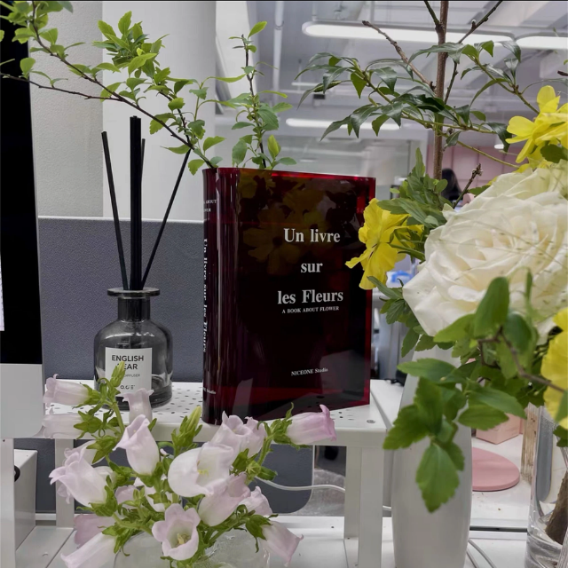 Lismali Home and Decor Nordic Book Vase - Acrylic Transparent Book Flowerpot Aesthetic Room Decor