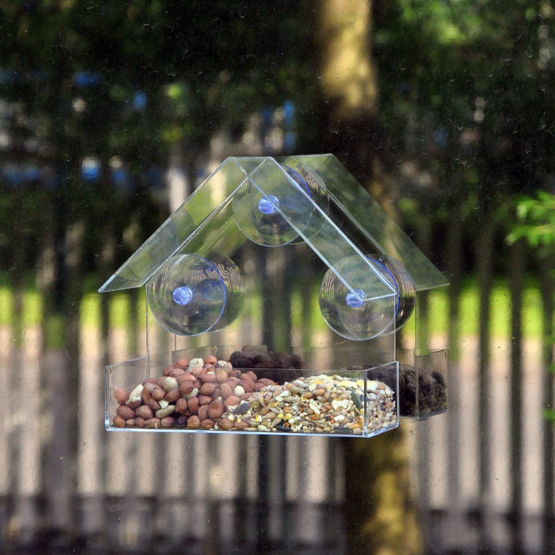 Lismali Home and Decor Transparent Window Bird Feeder Tray with Suction Cups Ideal for Feeders and Birdhouses