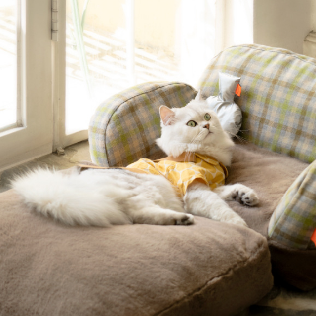 Lismali Home and Decor Vintage Cat Sofa
