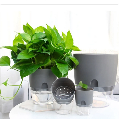 Self Watering Plant Pot Indoor/Outdoor Table Planter with Drainage Hole